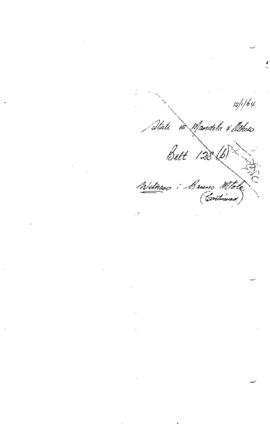 Witness: Bruno Mtolo (continued)