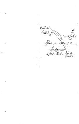 Judgement  application bail James Kantor (continued)